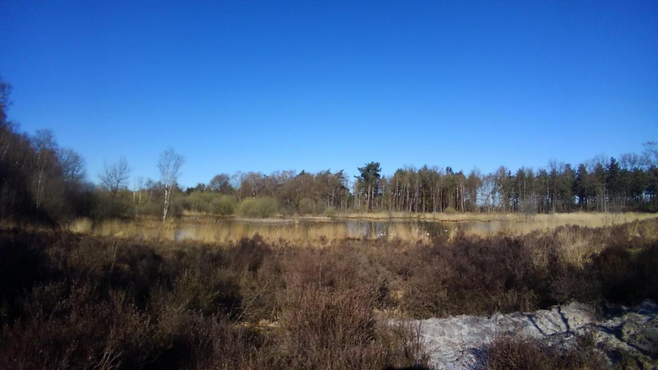 In De Wei *